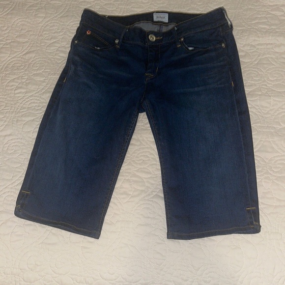 Hudson Viceroy Knee Shorts - Picture 1 of 8